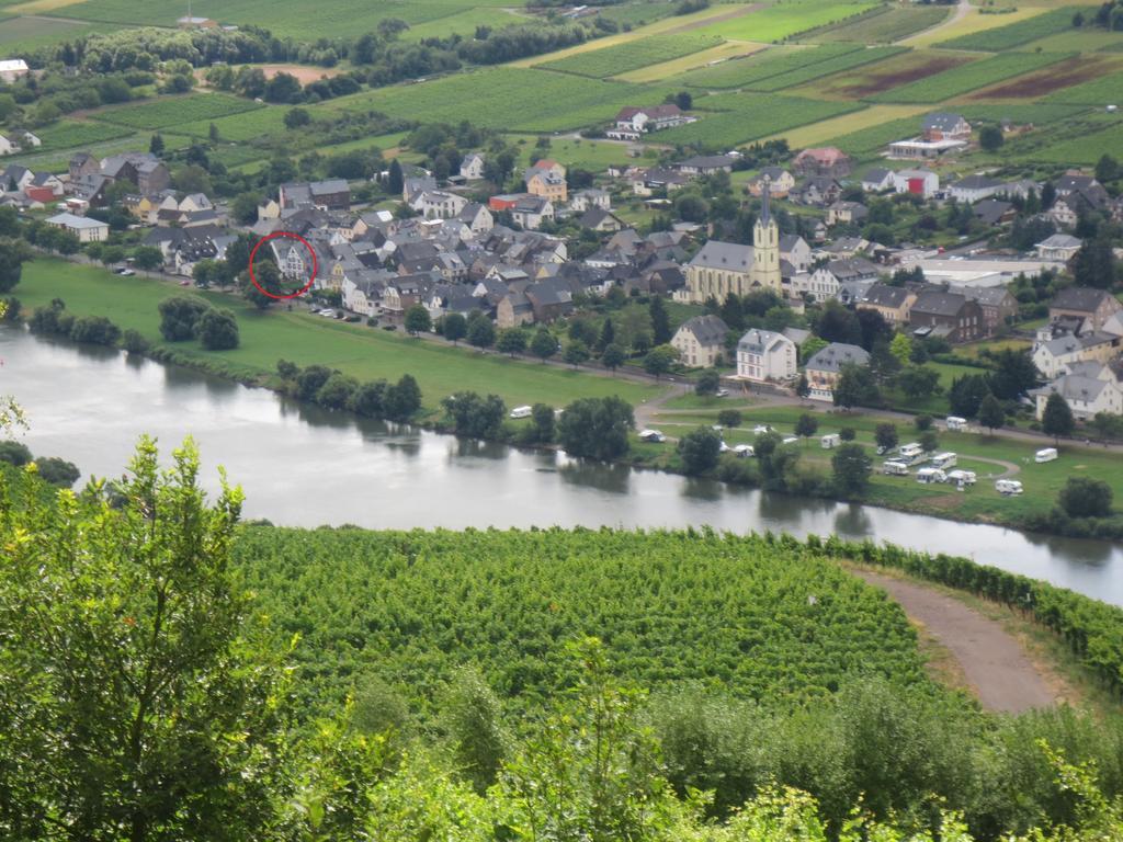 B&B Zum Treppchen Lösnich Dış mekan fotoğraf