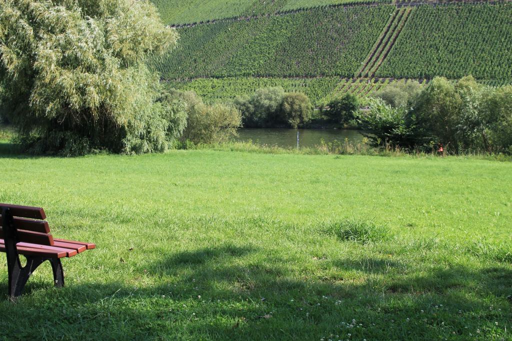 B&B Zum Treppchen Lösnich Dış mekan fotoğraf