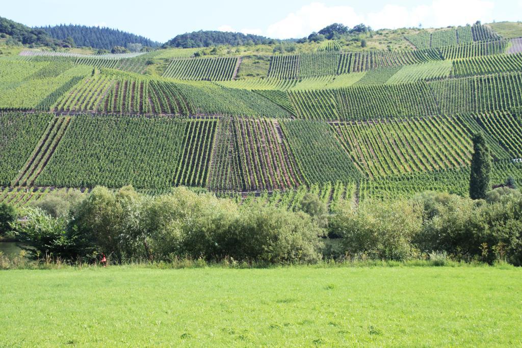 B&B Zum Treppchen Lösnich Dış mekan fotoğraf