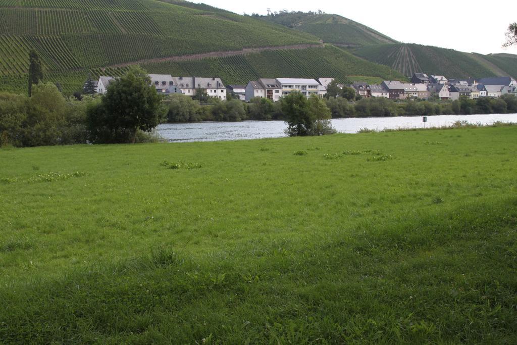 B&B Zum Treppchen Lösnich Dış mekan fotoğraf