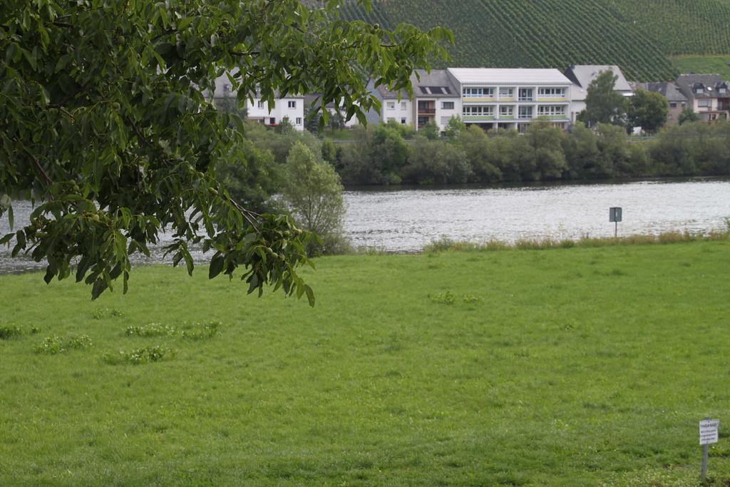 B&B Zum Treppchen Lösnich Dış mekan fotoğraf